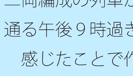 二両編成の列車が通る午後9時過ぎ  感じたことで作るので・・・・｜サマールンルン