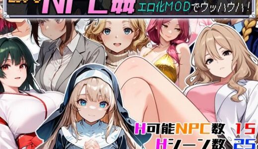 Let’s NPC姦 VR世界で処女を奪ってエロ化MODでウッハウハ！｜超弐次元要塞アイダホ