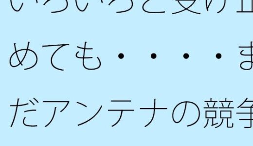 いろいろと受け止めても・・・・まだアンテナの競争は続く  冬の真ん中の朝・・・・・｜サマールンルン